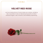 Midnight Cuddle Nooky Box in Nepal | (Pack of 6 Items)