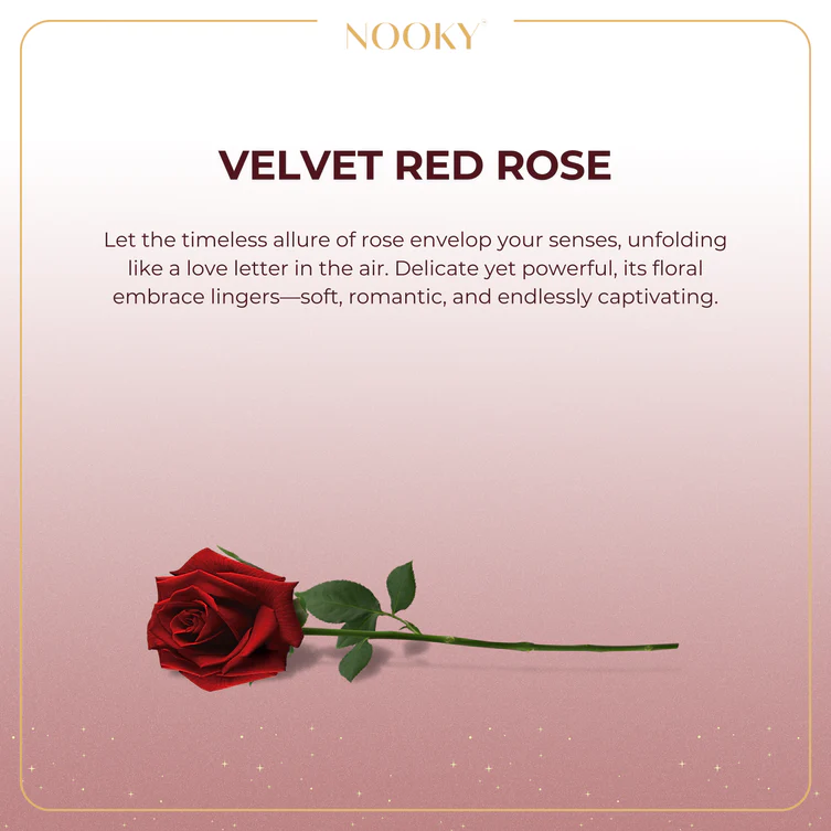 Midnight Cuddle Nooky Box in Nepal | (Pack of 6 Items) Midnight Cuddle Nooky Box in Nepal | (Pack of 6 Items)